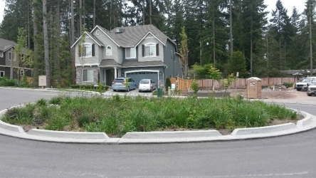 Bioretention BMP in a LID Residential Neighborhood